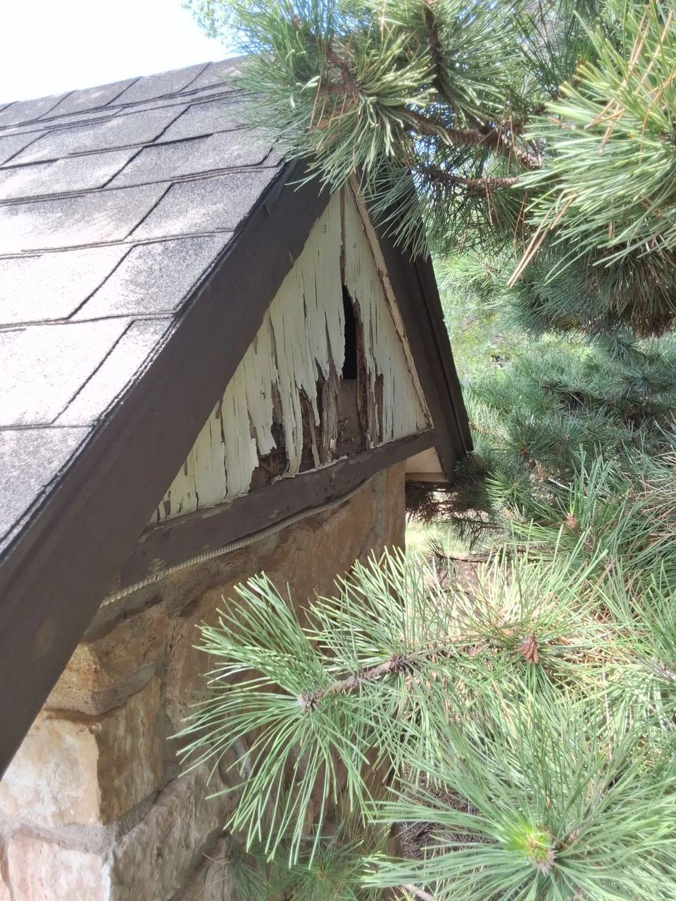 Rotted gable siding discovered at The Crossing in Edmond, OK before Hometown Painting replaced the wood and repainted